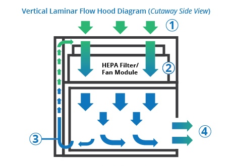 vertical-laminar-flow_看图王.jpg